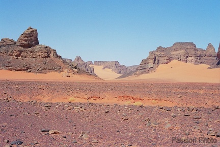 REERG 004