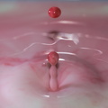 pphot 2015-02-15 04