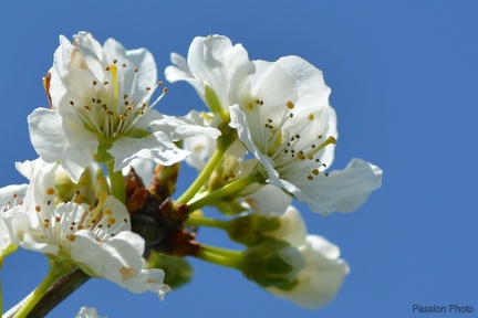 macro 2018 spring 013