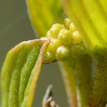 macro 2018 spring 014