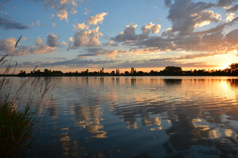 MEB_3046.jpg