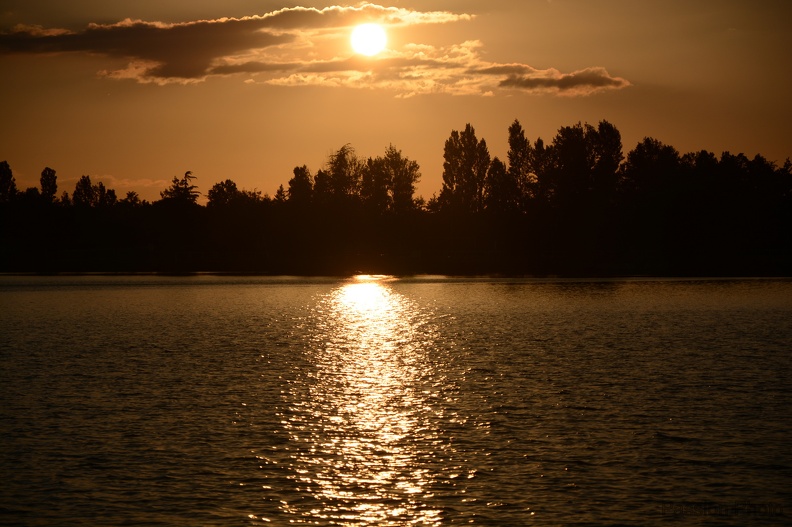 MON_4771.jpg