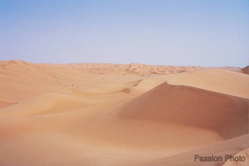 REERG_001.jpg
